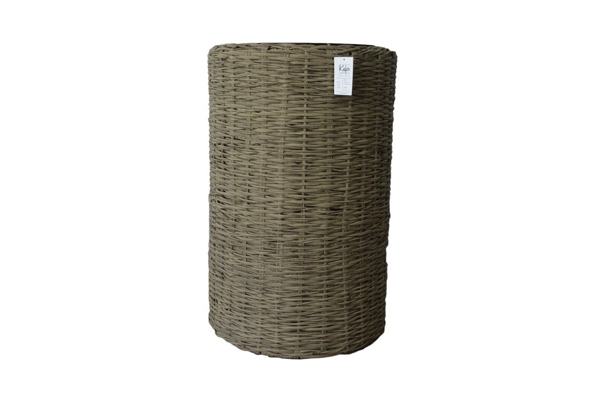 Amazonas - OUTLET